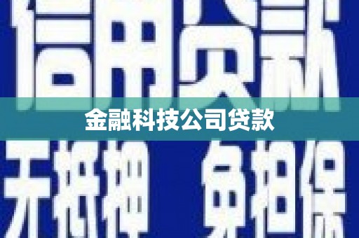 巩留金融科技公司贷款