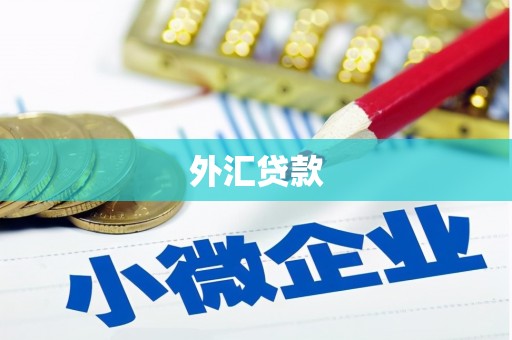 巩留外汇贷款