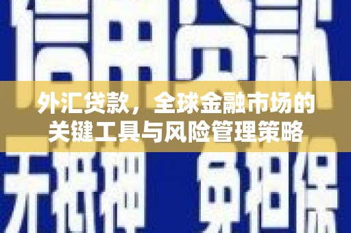 巩留外汇贷款，全球金融市场的关键工具与风险管理策略