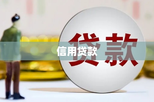 巩留信用贷款