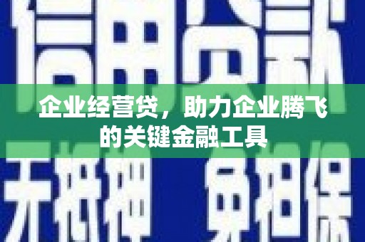 巩留企业经营贷，助力企业腾飞的关键金融工具