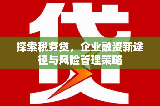 巩留探索税务贷，企业融资新途径与风险管理策略