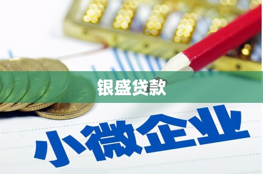 巩留银盛贷款