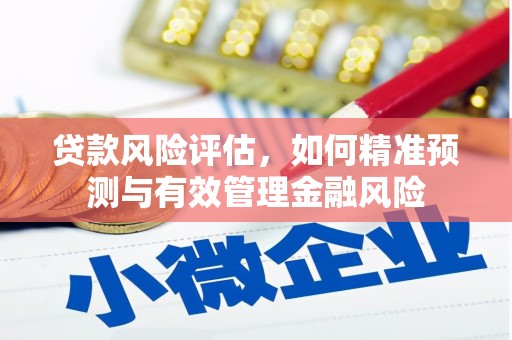 巩留贷款风险评估，如何精准预测与有效管理金融风险