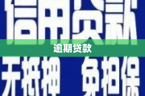 巩留逾期贷款