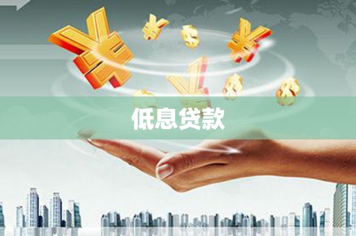巩留低息贷款