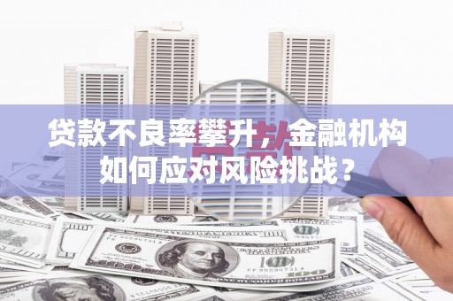 巩留贷款不良率攀升，金融机构如何应对风险挑战？