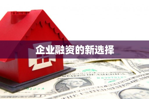 巩留企业融资的新选择