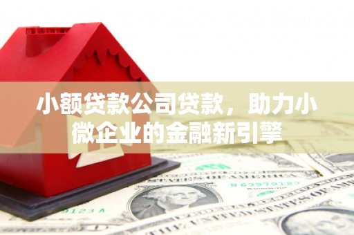 巩留小额贷款公司贷款，助力小微企业的金融新引擎