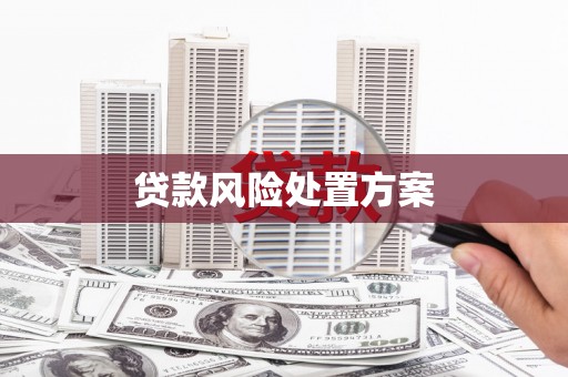 巩留贷款风险处置方案
