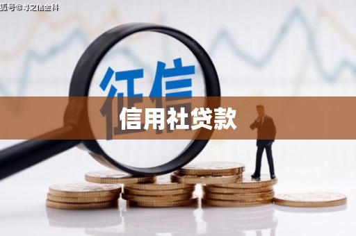 巩留信用社贷款