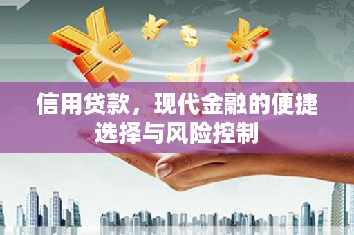 巩留信用贷款，现代金融的便捷选择与风险控制