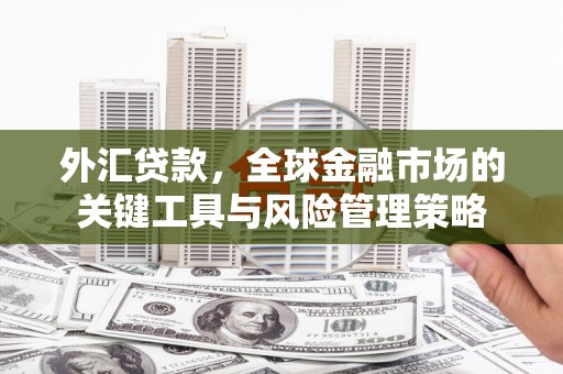 巩留外汇贷款，全球金融市场的关键工具与风险管理策略