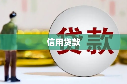 巩留信用贷款