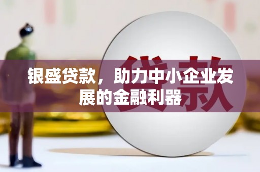 巩留银盛贷款，助力中小企业发展的金融利器