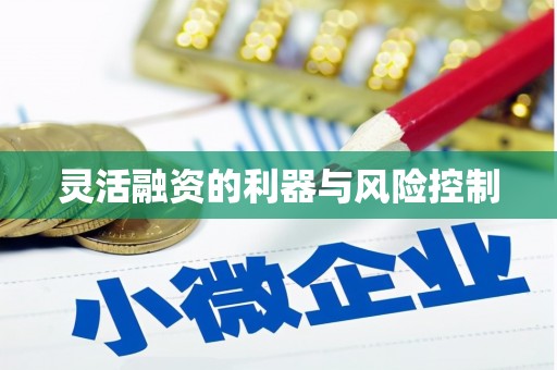巩留灵活融资的利器与风险控制