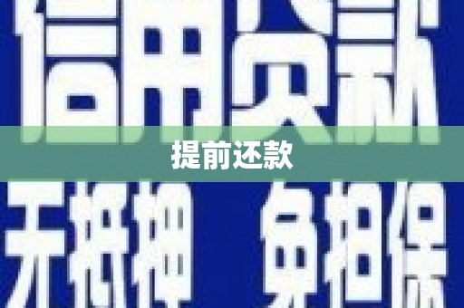 巩留提前还款