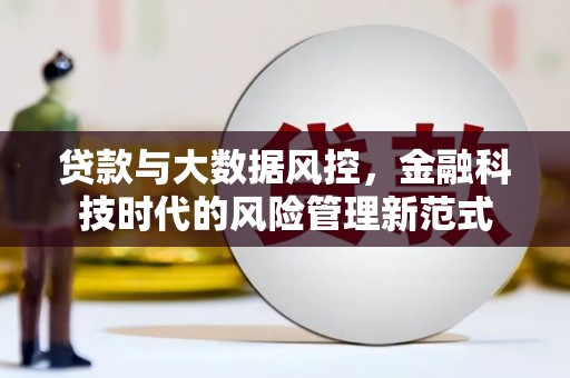 巩留贷款与大数据风控，金融科技时代的风险管理新范式