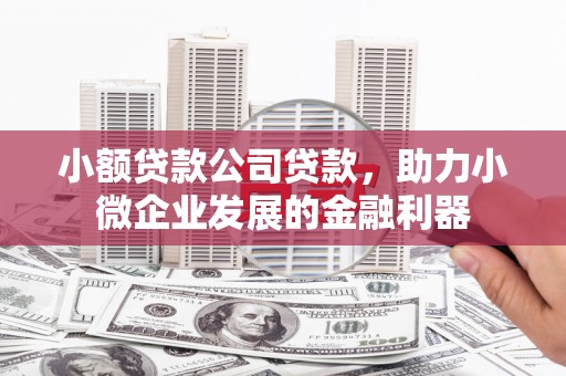 巩留小额贷款公司贷款，助力小微企业发展的金融利器