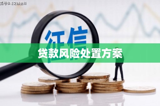 巩留贷款风险处置方案