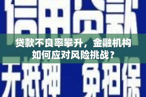 巩留贷款不良率攀升，金融机构如何应对风险挑战？