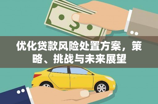 巩留优化贷款风险处置方案，策略、挑战与未来展望