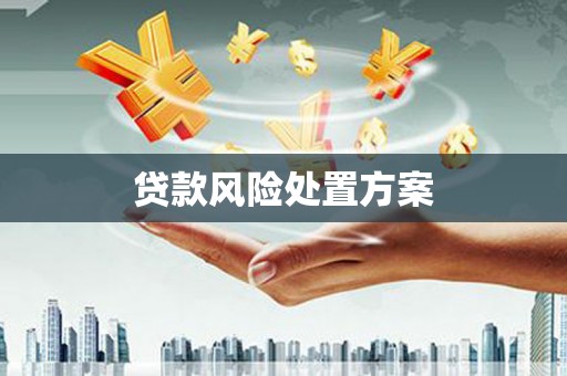 巩留贷款风险处置方案