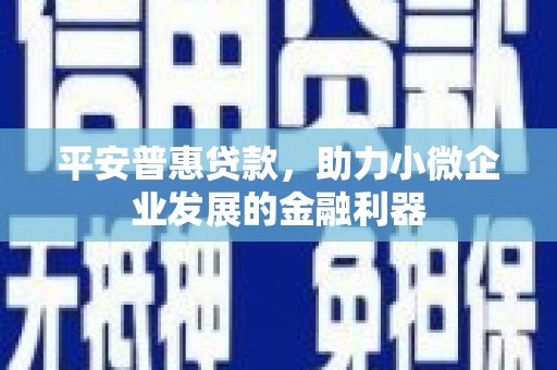 巩留平安普惠贷款，助力小微企业发展的金融利器