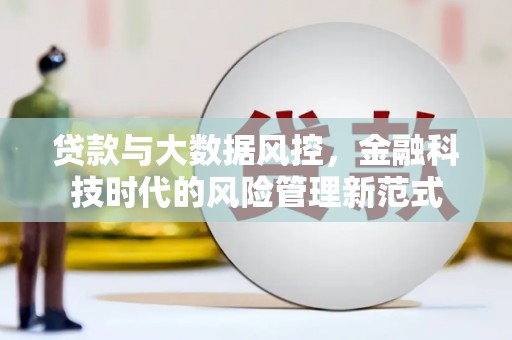 巩留贷款与大数据风控，金融科技时代的风险管理新范式
