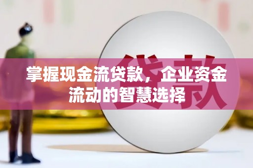 巩留掌握现金流贷款，企业资金流动的智慧选择