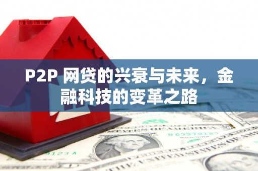 巩留P2P 网贷的兴衰与未来，金融科技的变革之路