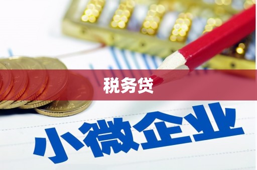 巩留税务贷
