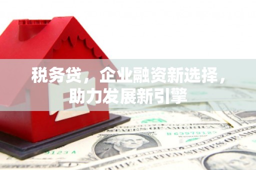 巩留税务贷，企业融资新选择，助力发展新引擎