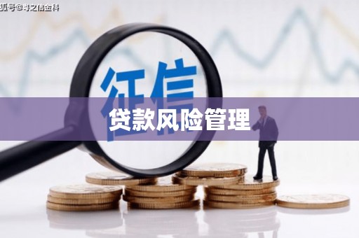 巩留贷款风险管理