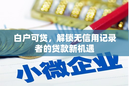 巩留白户可贷，解锁无信用记录者的贷款新机遇