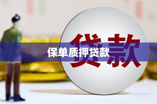 巩留保单质押贷款