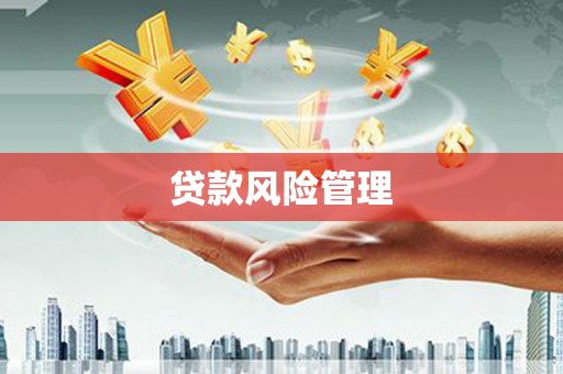巩留贷款风险管理