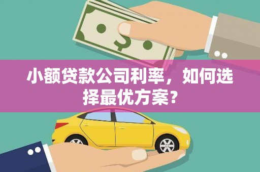 巩留小额贷款公司利率，如何选择最优方案？