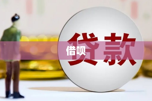 巩留借呗