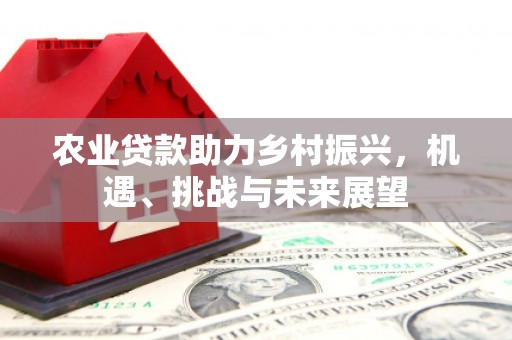 巩留农业贷款助力乡村振兴，机遇、挑战与未来展望