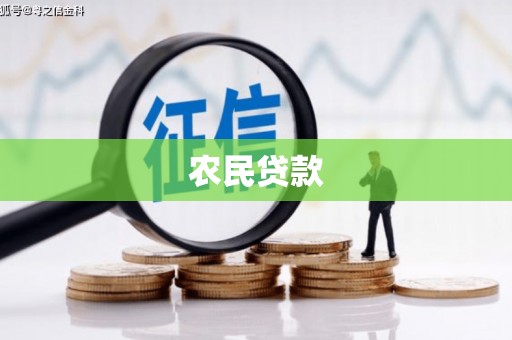 巩留农民贷款