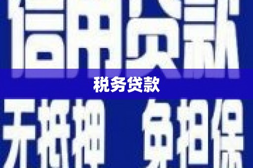 巩留税务贷款