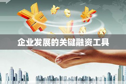 巩留企业发展的关键融资工具