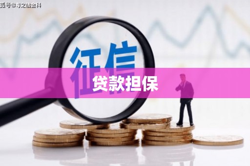 巩留贷款担保