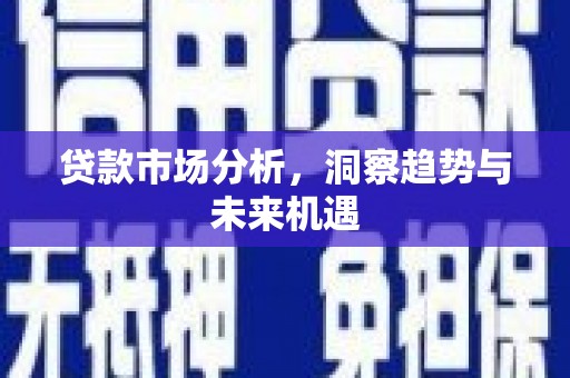 巩留贷款市场分析，洞察趋势与未来机遇