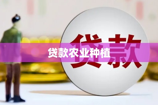 巩留贷款农业种植