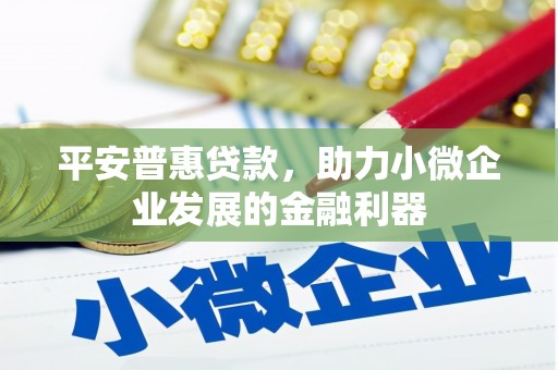 巩留平安普惠贷款，助力小微企业发展的金融利器