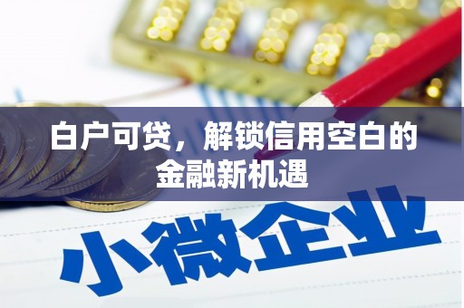 巩留白户可贷，解锁信用空白的金融新机遇