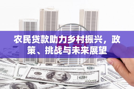 巩留农民贷款助力乡村振兴，政策、挑战与未来展望