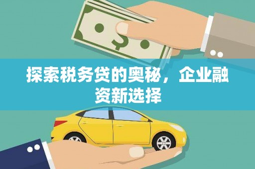巩留探索税务贷的奥秘，企业融资新选择